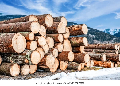 Quality Timber